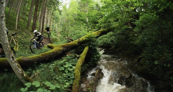 slovenia wild mtb