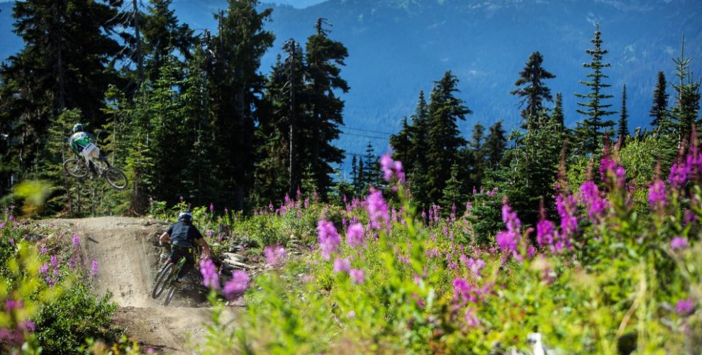 Whistler MTB