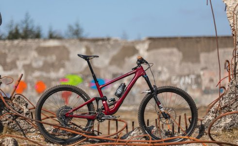 Specialized enduro tweed valley mtb 