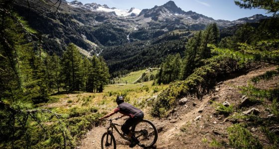 Mountain Bike Tour