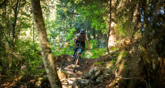 secret singletrack Morzine bike holiday