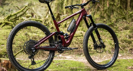 Specialized Mountain bike hire - MTB Beds