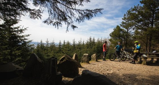 glentress buzzards nest