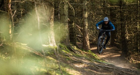 mountain bike accommodation in the tweed valley