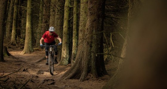 e bikes in the glentress forest