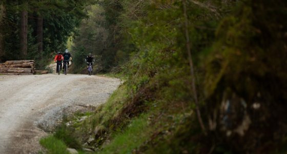 mtb ride coed y brenin