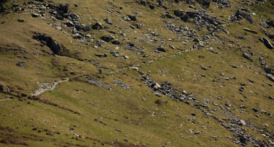 snowdon mtb descent