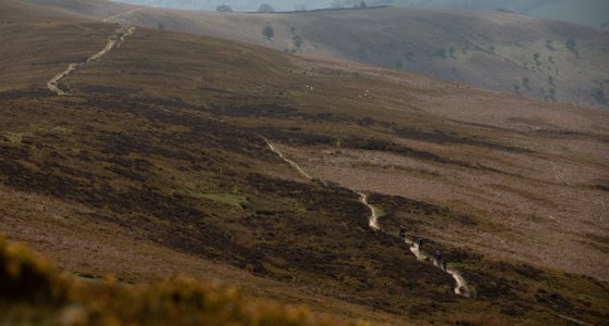 Brecon beacons mtb descent 