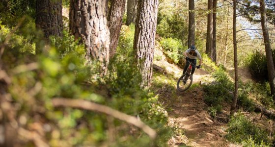 Pyrenees MTB tour