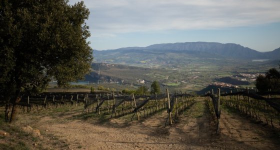 SPANISH BIKE ADVENTURE