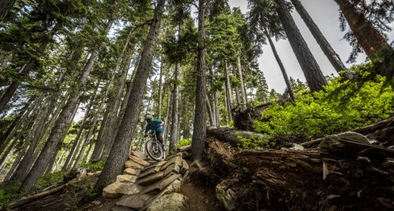 whistler mtb holiday tour