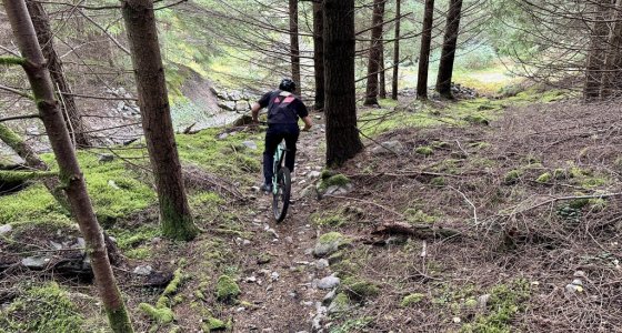 Dunkeld mtb trails