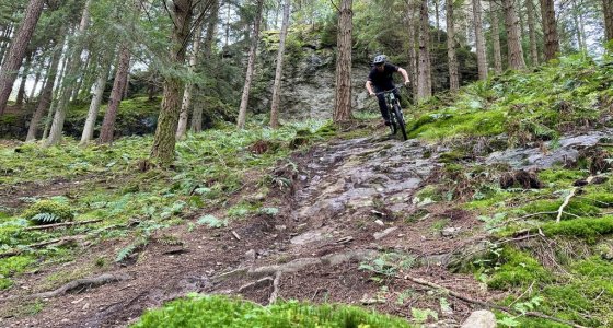 Dunkeld mtb trails