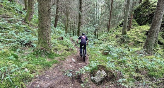 Dunkeld mtb trails