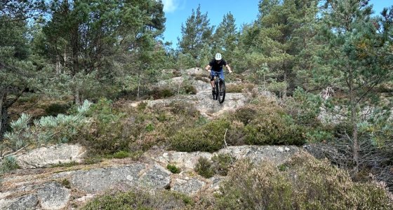 Ballater MTB trails