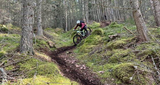 Ballater MTB trails