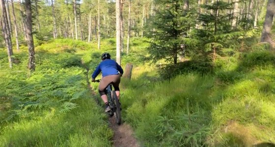 Aboyne mtb trails