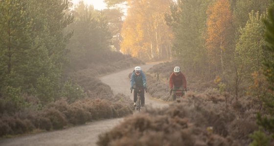 caledonian forest gravel ride