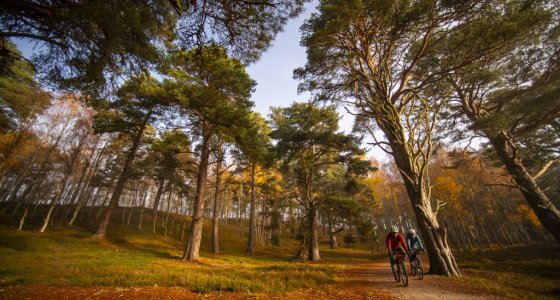 cairngorms gravel tour