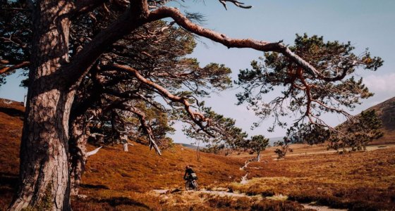 cairngorms gravel ride