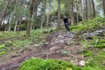 Dunkeld mtb trails