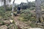 Dunkeld mtb trails