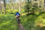 Aboyne mtb trails