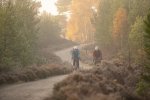 caledonian forest gravel ride