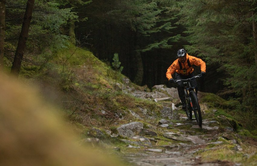 Coed y brenin mountain biking on sale