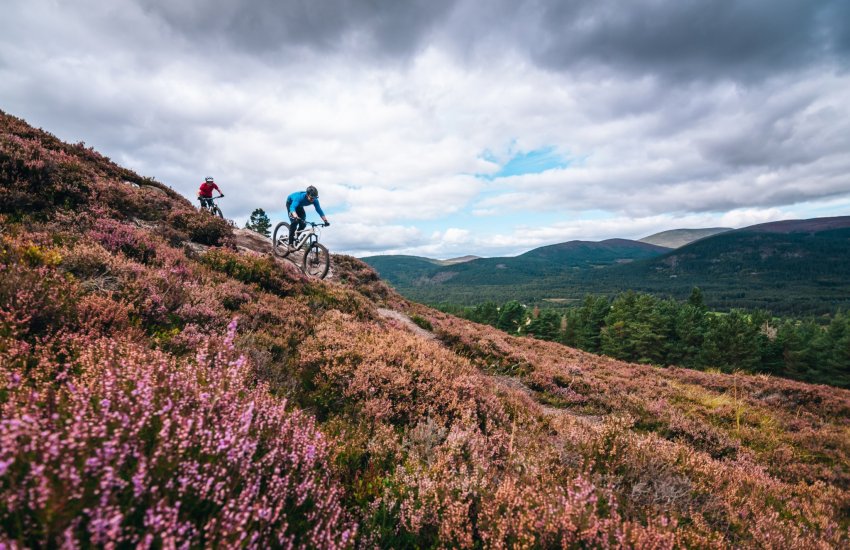 Aviemore bike hire